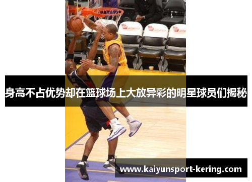 身高不占优势却在篮球场上大放异彩的明星球员们揭秘